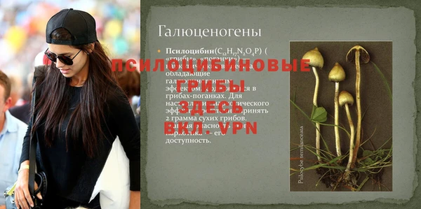 соль ск Балабаново