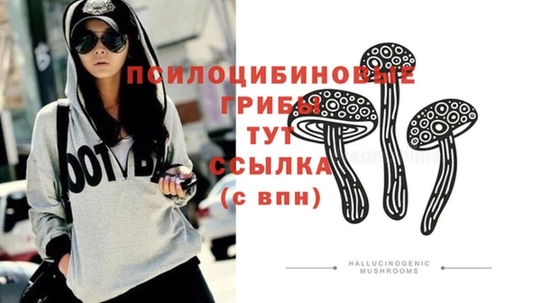 дурь Арсеньев