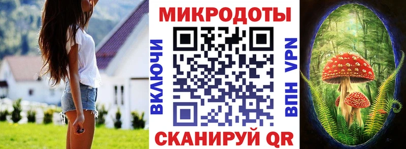 наркота  Рассказово  Псилоцибиновые грибы мицелий 